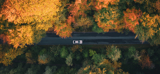 The Best Scenic Fall Drives in the United States