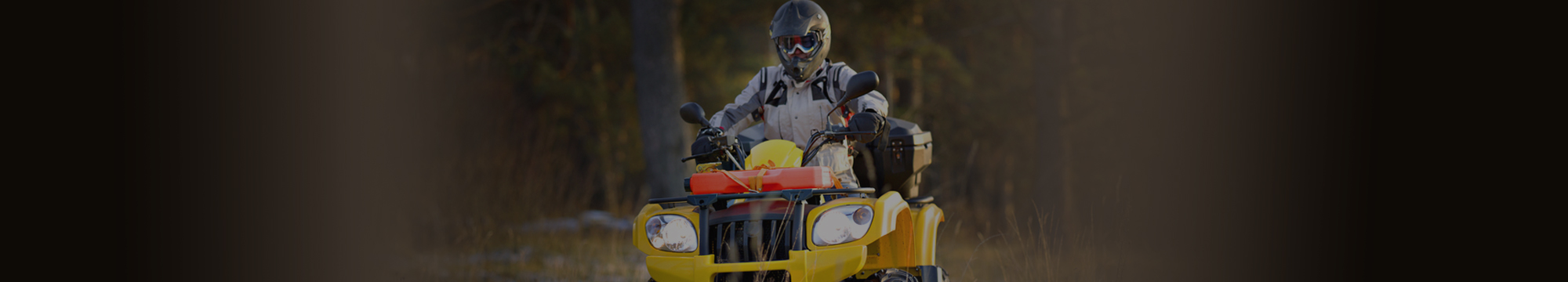 Weego ATV rider - powersports