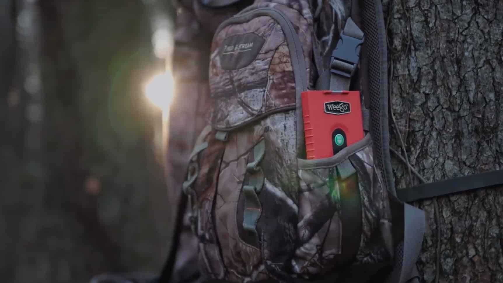The perfect hunting companion