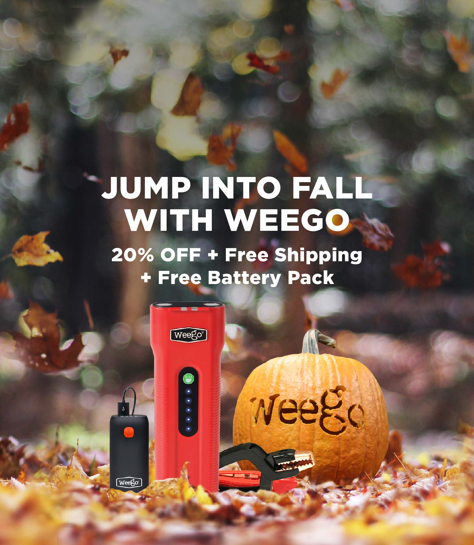 Jump into Fall with Weego